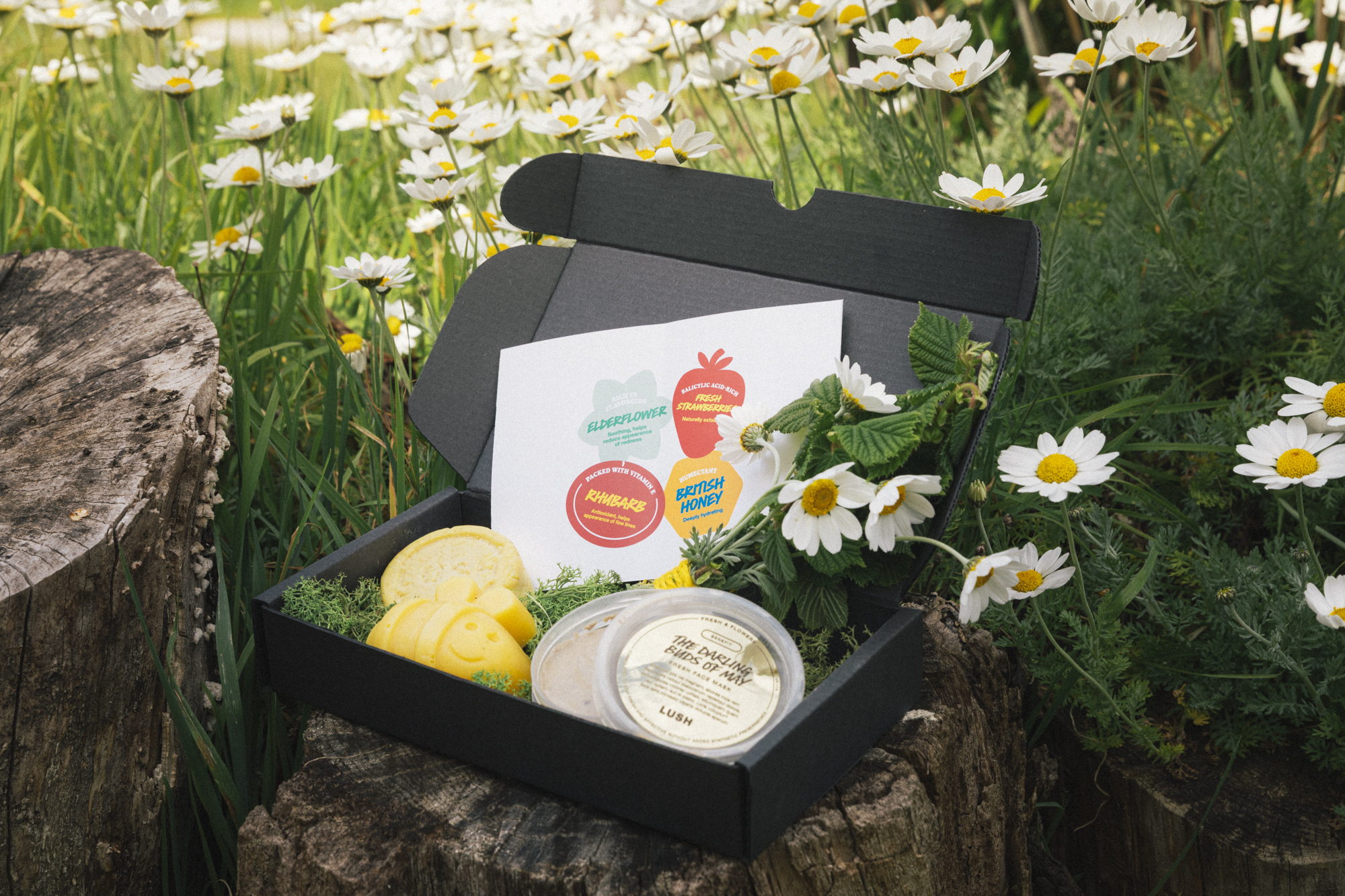 Gift Sets | LUSH